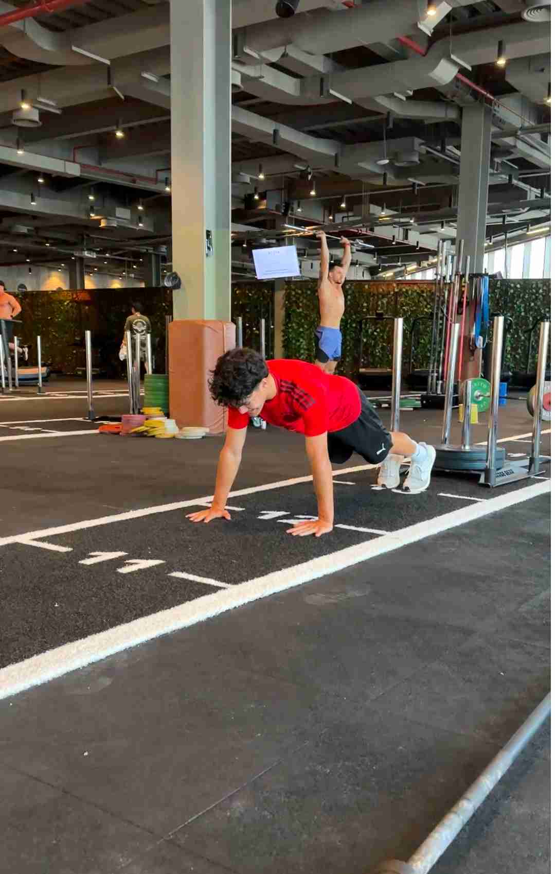 David Mueller Training